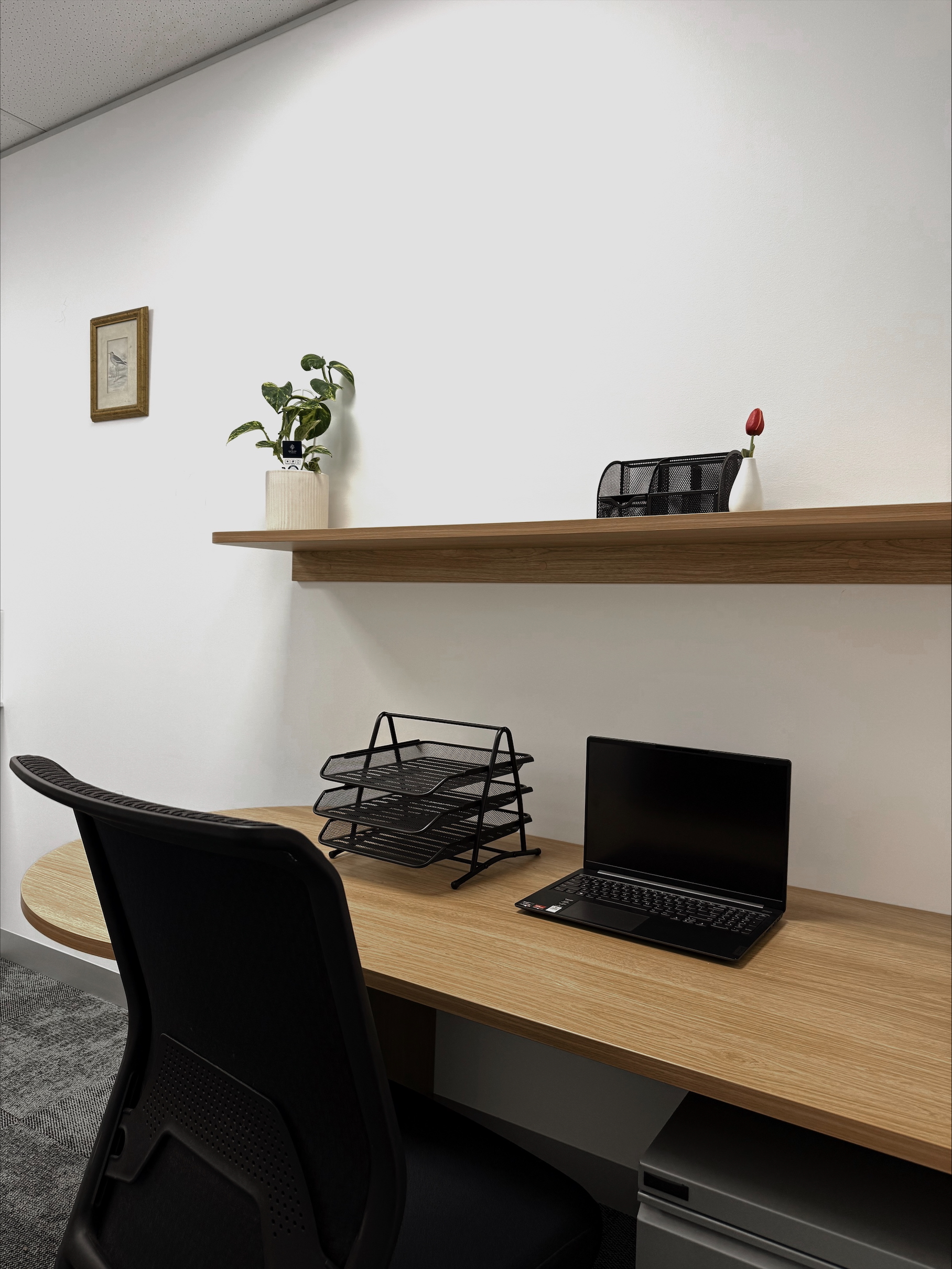 Psychologist Rooms – Caulfield